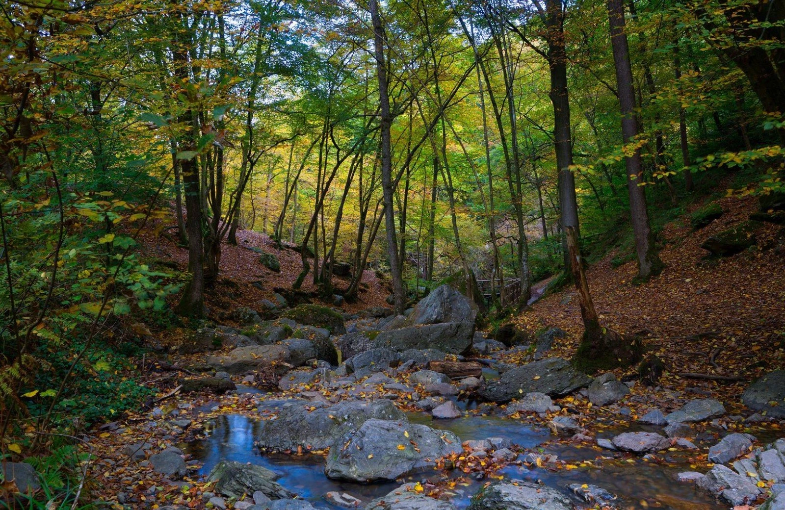 Ardennes 3980019 1920